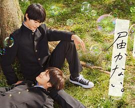 seo优化建议有什么